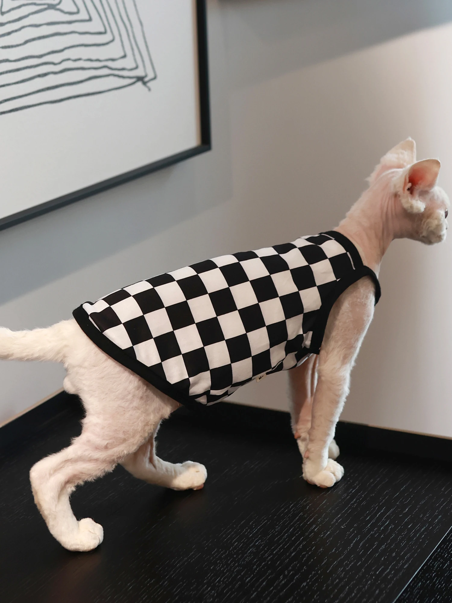 Pet Cat Clothes Sphynx Kitten Plaid Vest Shirt For Sphinx Devon Rex Breathable Cat Camisole Soft Summer Clothing Cat Supplier