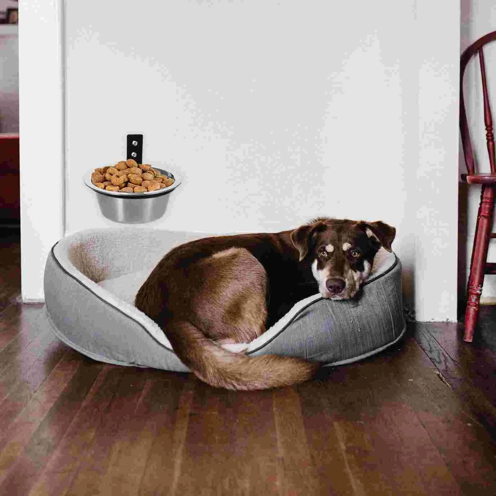 Elevated Dog Bowls Wall Mounted Wear-resistant Water for outside Pet Small Dogs