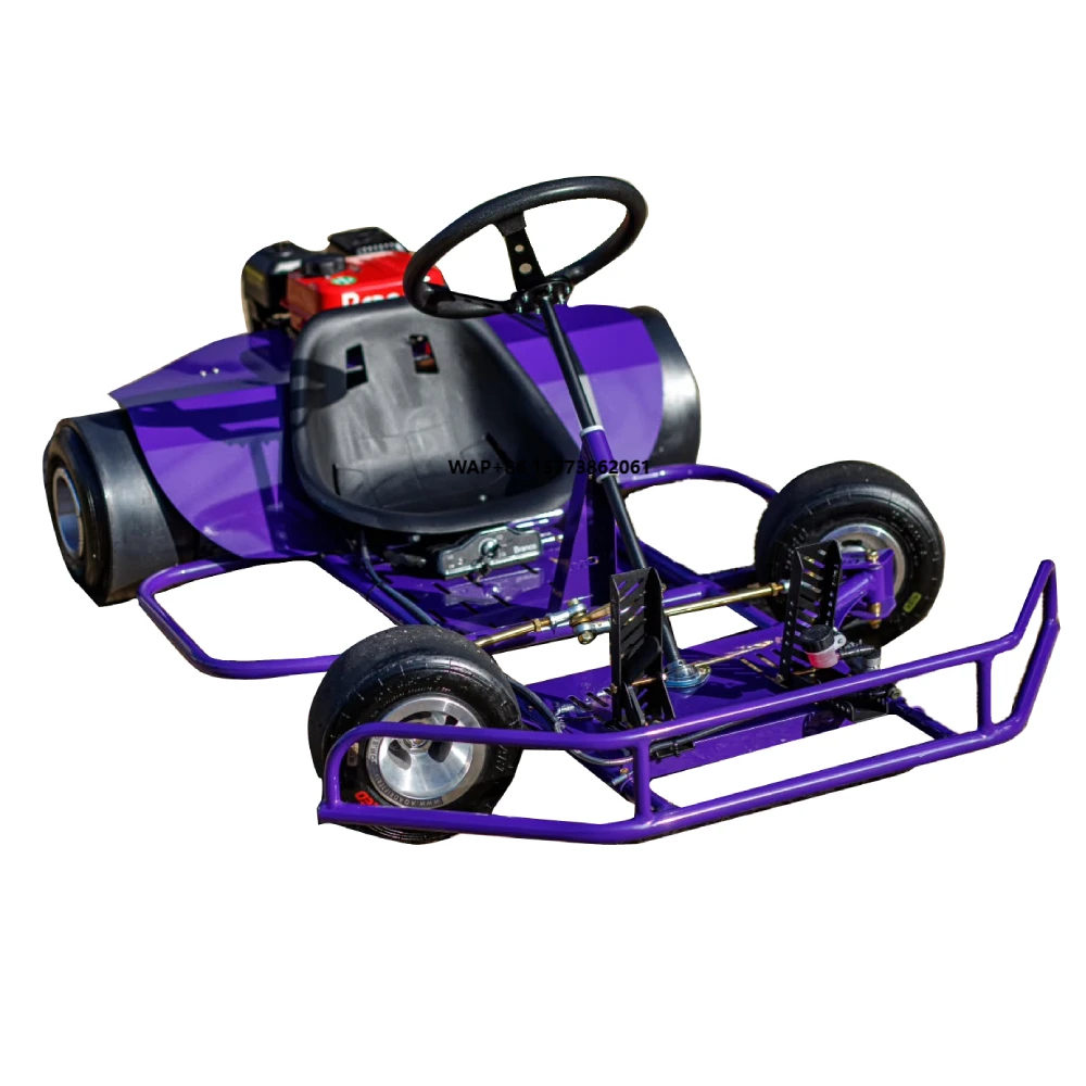 2025 Factory Hot Sales Karting 3000W Electric High Performance Go Karts for Adults Racing Karting Car Drift Gokart
