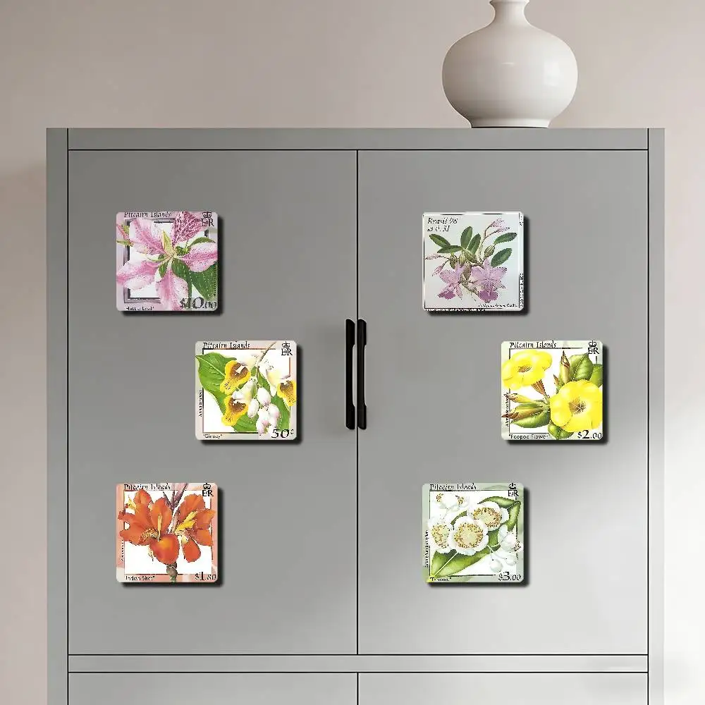 Stamp Designs Of The Pitcairn Islands Flora Series Refrigerator Magnets Cartoon Magnetic Personality Decorations Creative Gifts