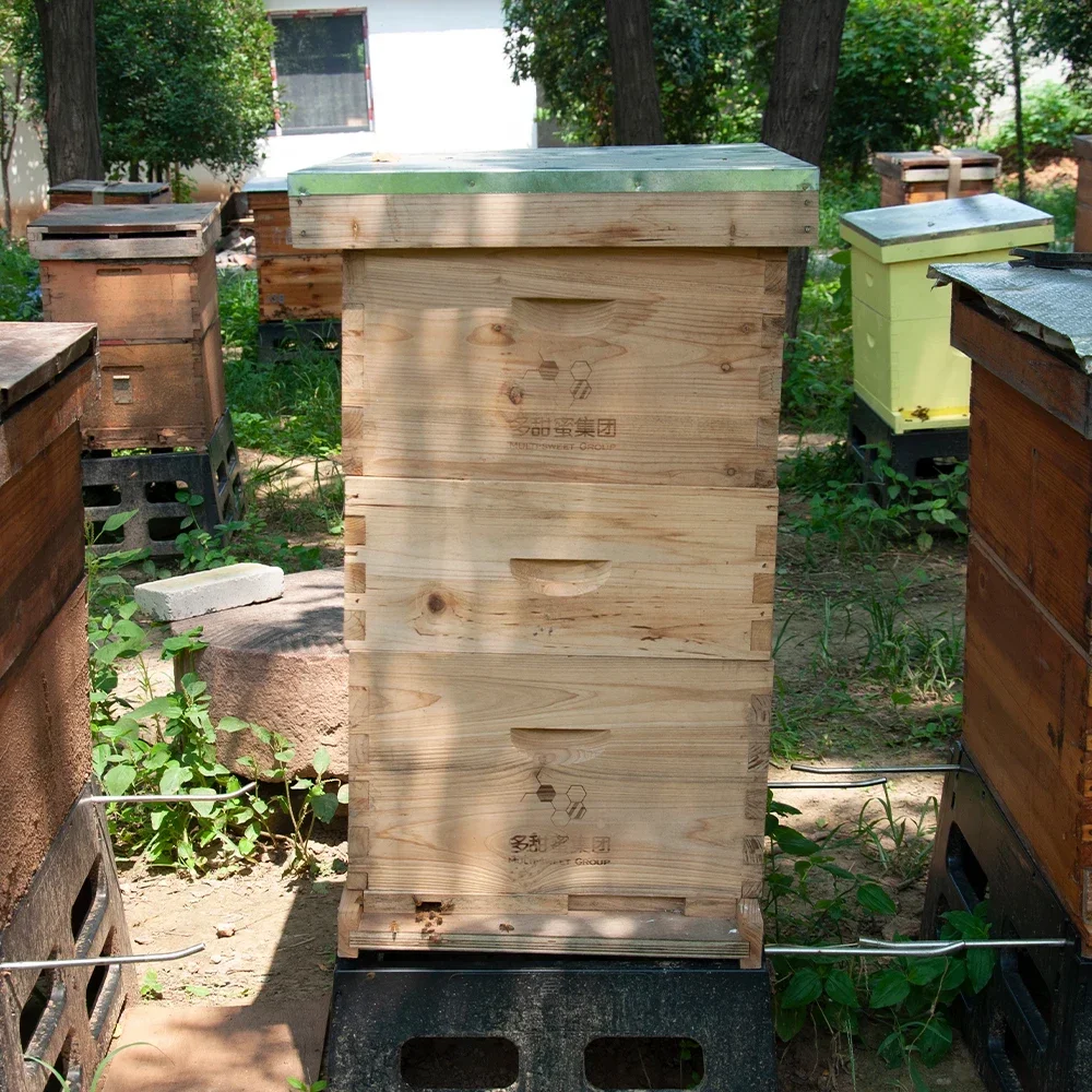 Langstroth Bee Hive Kit Beekeeping Equipment Wooden Beehive