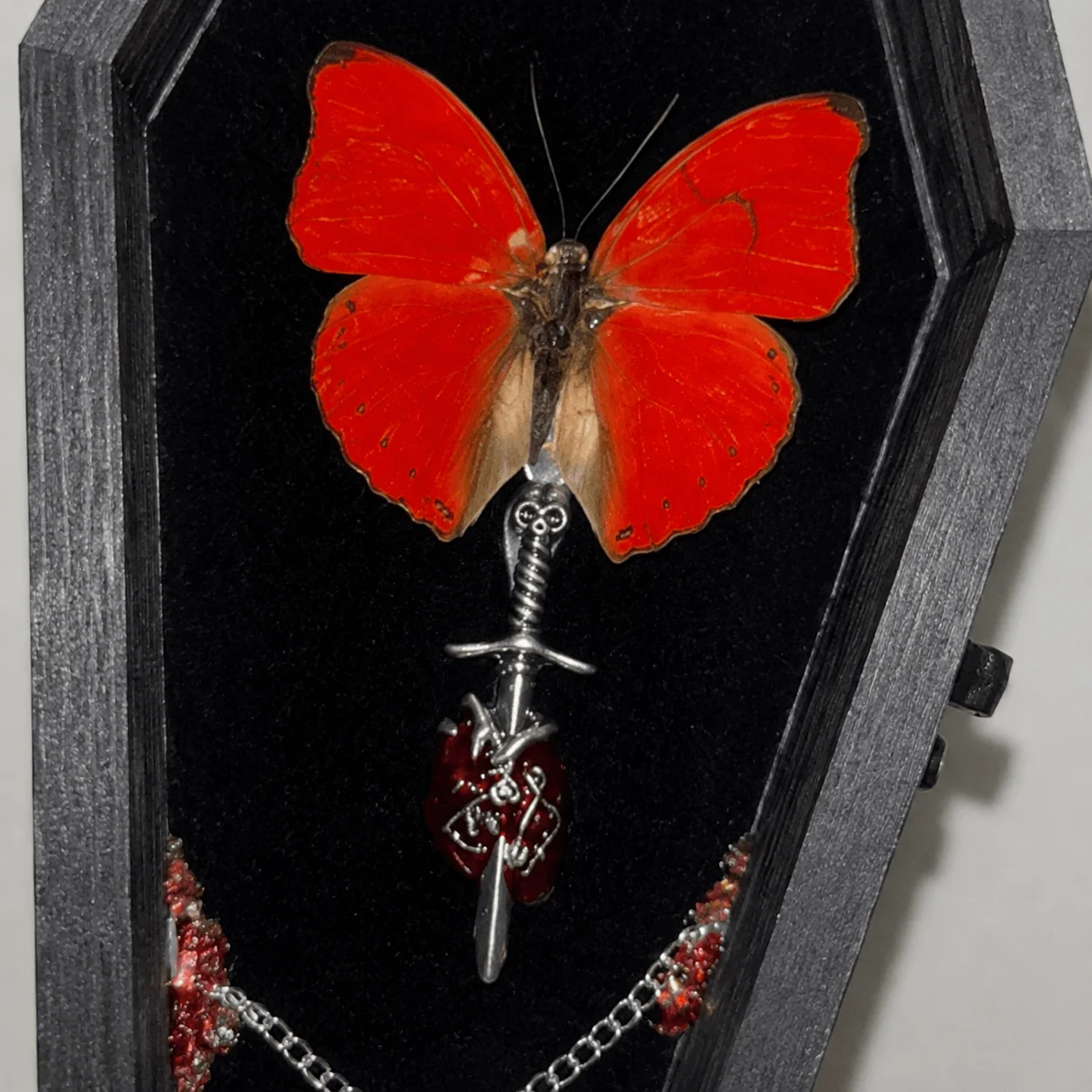 Halloween Gothic Coffin Box, Authentic Cymothoe Sangaris Shadow Box, Spooky Curio Insect Art Decoration for Desktop Holiday Gift
