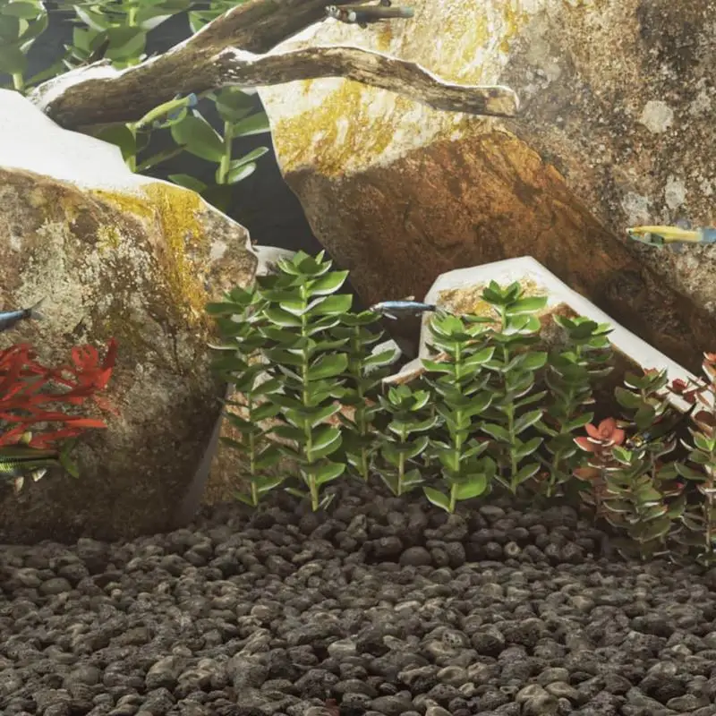 Granulats de lave noirs, sac de 10 kg, pierres de 5 à 8 cm, roche volcanique naturelle décorative pour aquariums, aménagements floraux et entretien des bonsaïs intérieurs et extérieurs