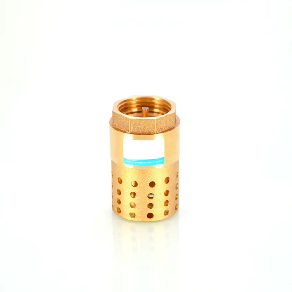 Brass One Way Check Valve Bottom Valve With Strainer Filter For Water Pump Plumbing Irrigation System Components