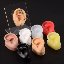 1Pair Soft 1:1 Silicone Ear Model Practice Body Jewelry Accessories Display Piercing Ear Tools Earring Tool Display Stand Kit