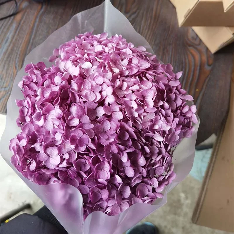 1Bunch Anna Hydrangea 20cm Nature Fresh Preserved Whole Branch Dried Flower Photograph Wedding Home Garden Party Decoration