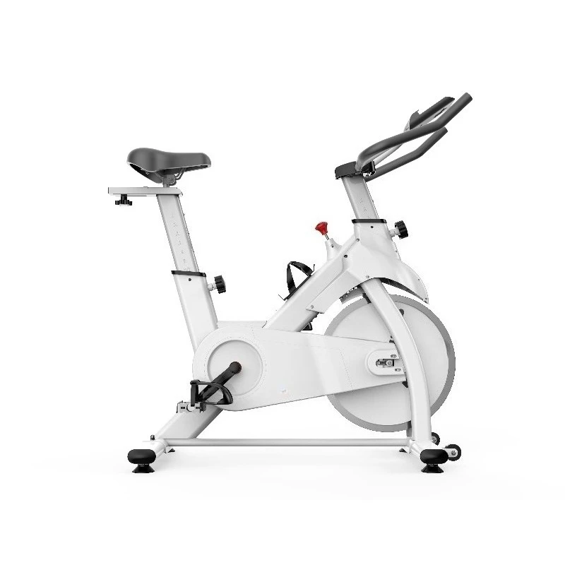 Steel Frame Indoor Workout Bike, Streamlined Body Design For Home Gym Body Fitness Cycling And Daily Sports Training