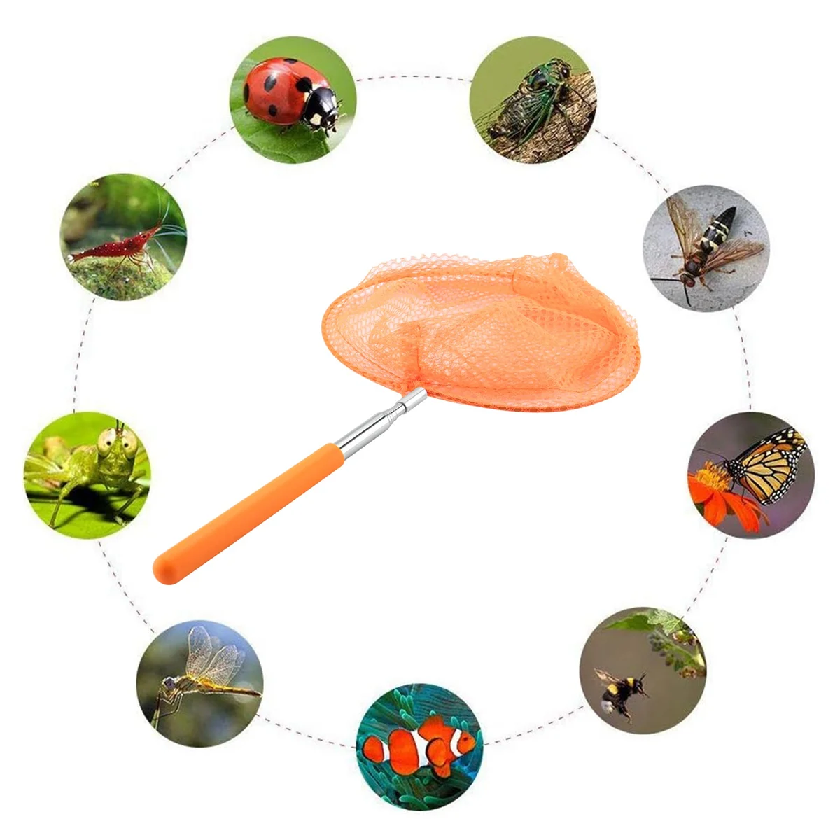 【Estoque limitado!】 Rede de insetos