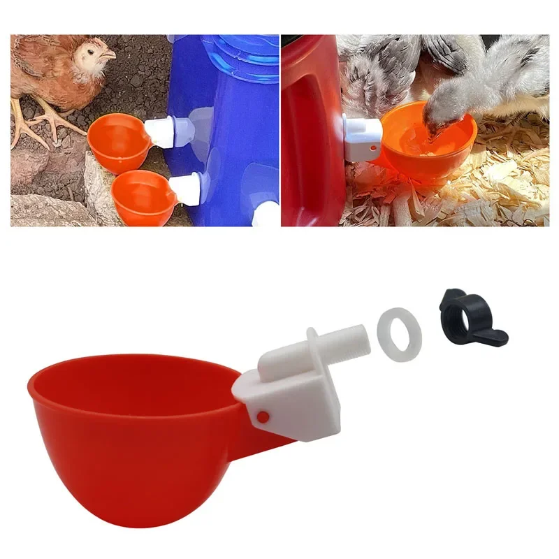 5pcs Chicken Drinker Drinking Cups for Chickens red Quail Chicken Waterer Bowl Automatic Poultry Coop Feeder water Drinking Cups