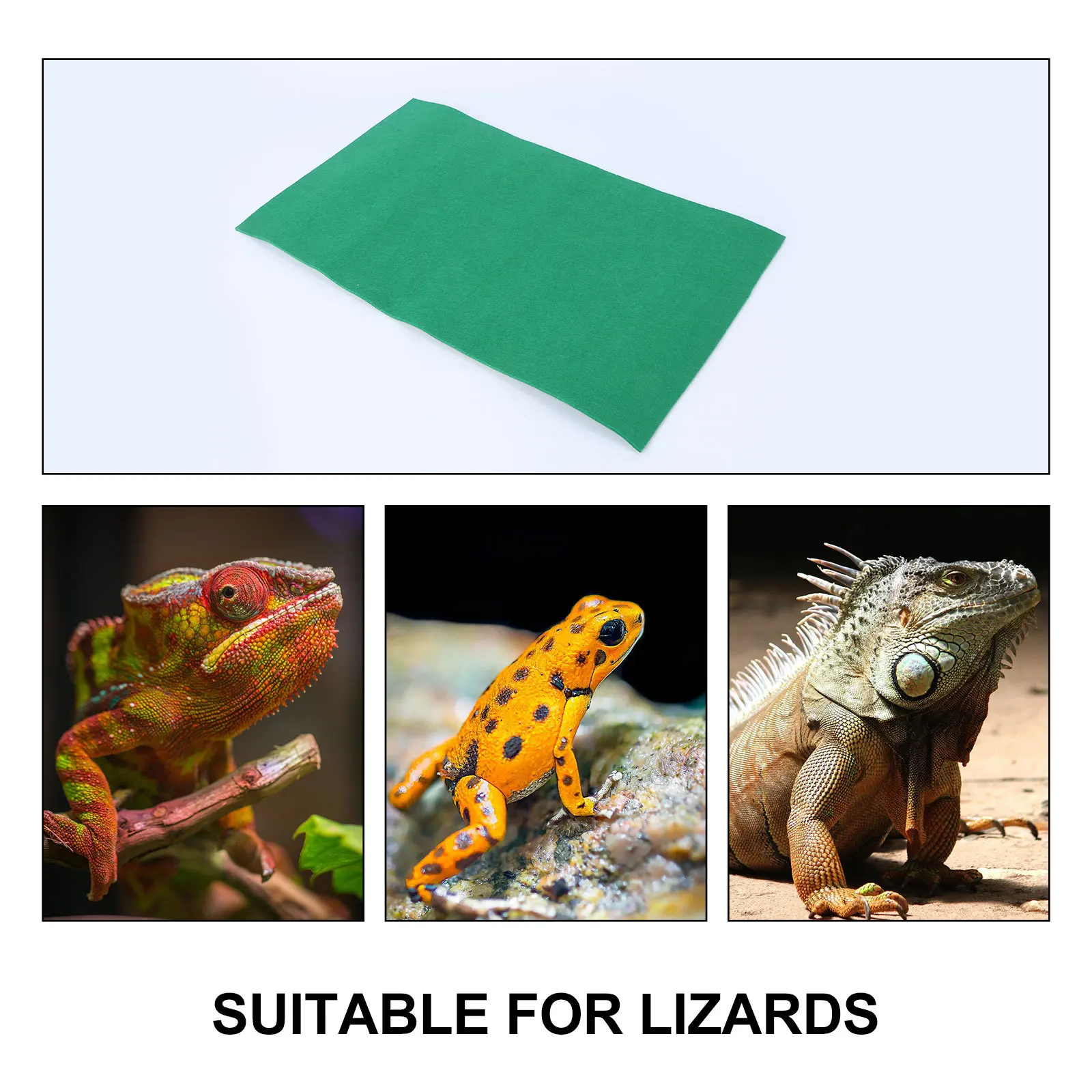 

Reptile Mat Lizard Carpet Premium Polyester Tortoise Rug Hygienic Anti Reptile Supplies 50x30cm Tortoise Carpet