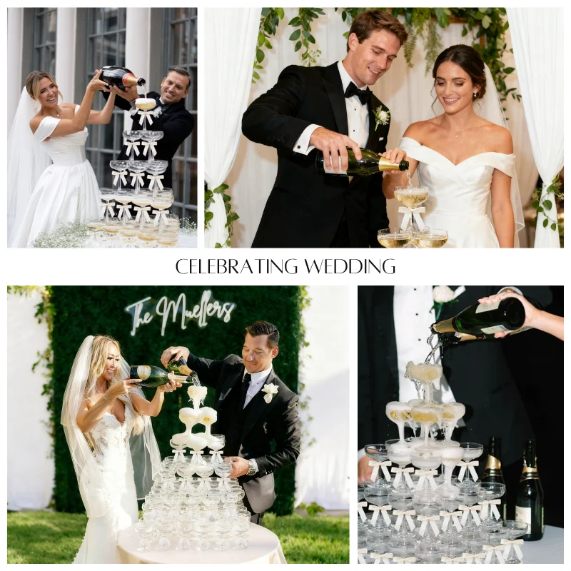 برج شمبانيا أكريليك بـ 4-6 طبق - مراجعة Champagne Tower Set وسعره