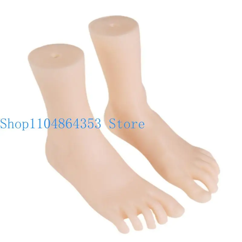 652F 1 Pair Realistic Female Foot Anatomical Model Teaching Foot Anatomy Model