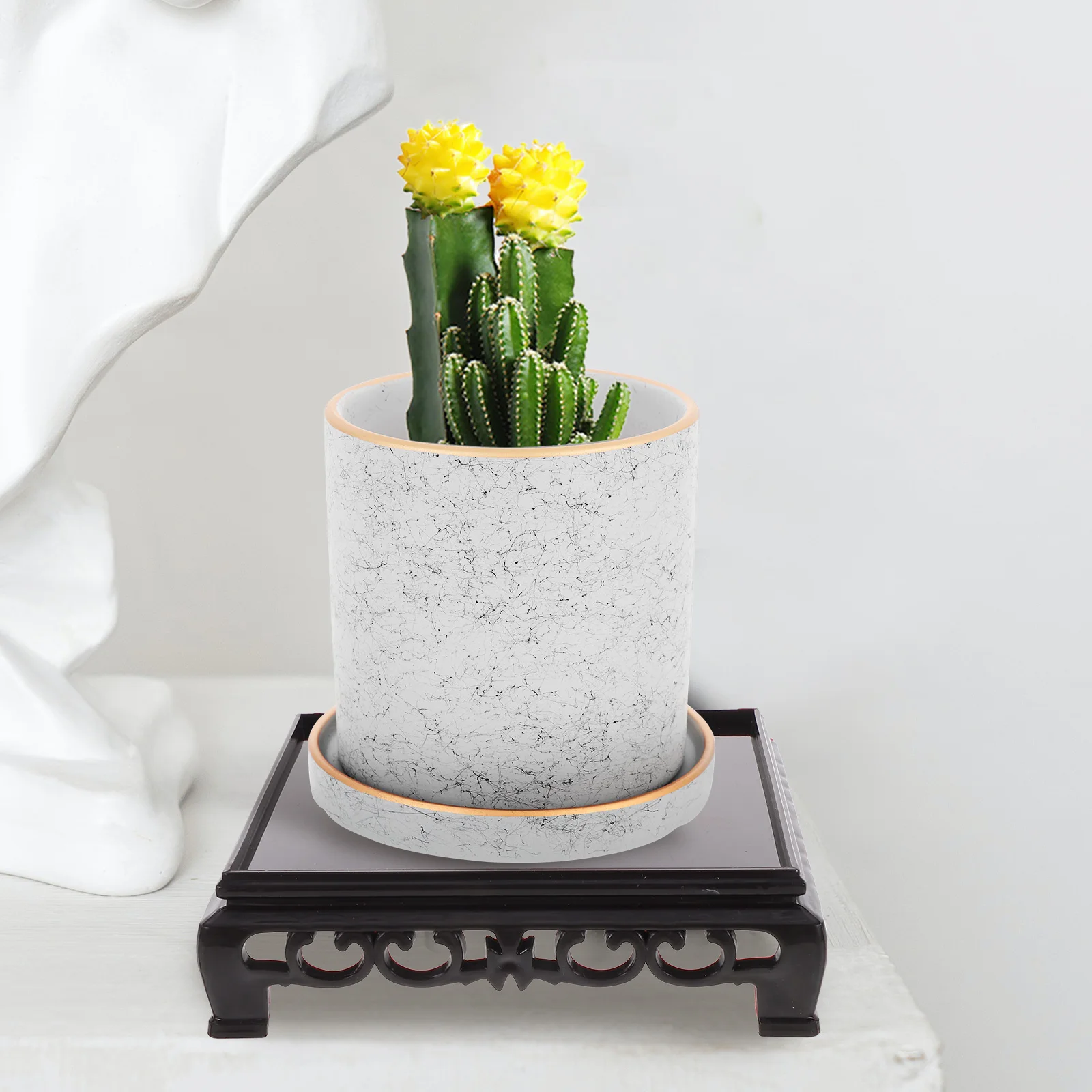 

5 Pcs Display Stand Premium Plastic Plant Base Potted Riser Strong Durable Smooth Edge Home Vase Fish Bowl Succulent
