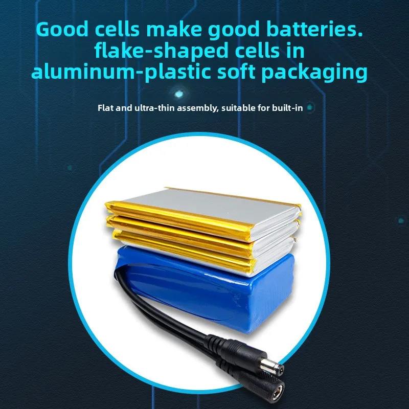 12V/24V Rechargeable Lithium Polymer BatteryPack DC Input Output with 5 Level Power Display for Outdoor Light CCTV Speaker