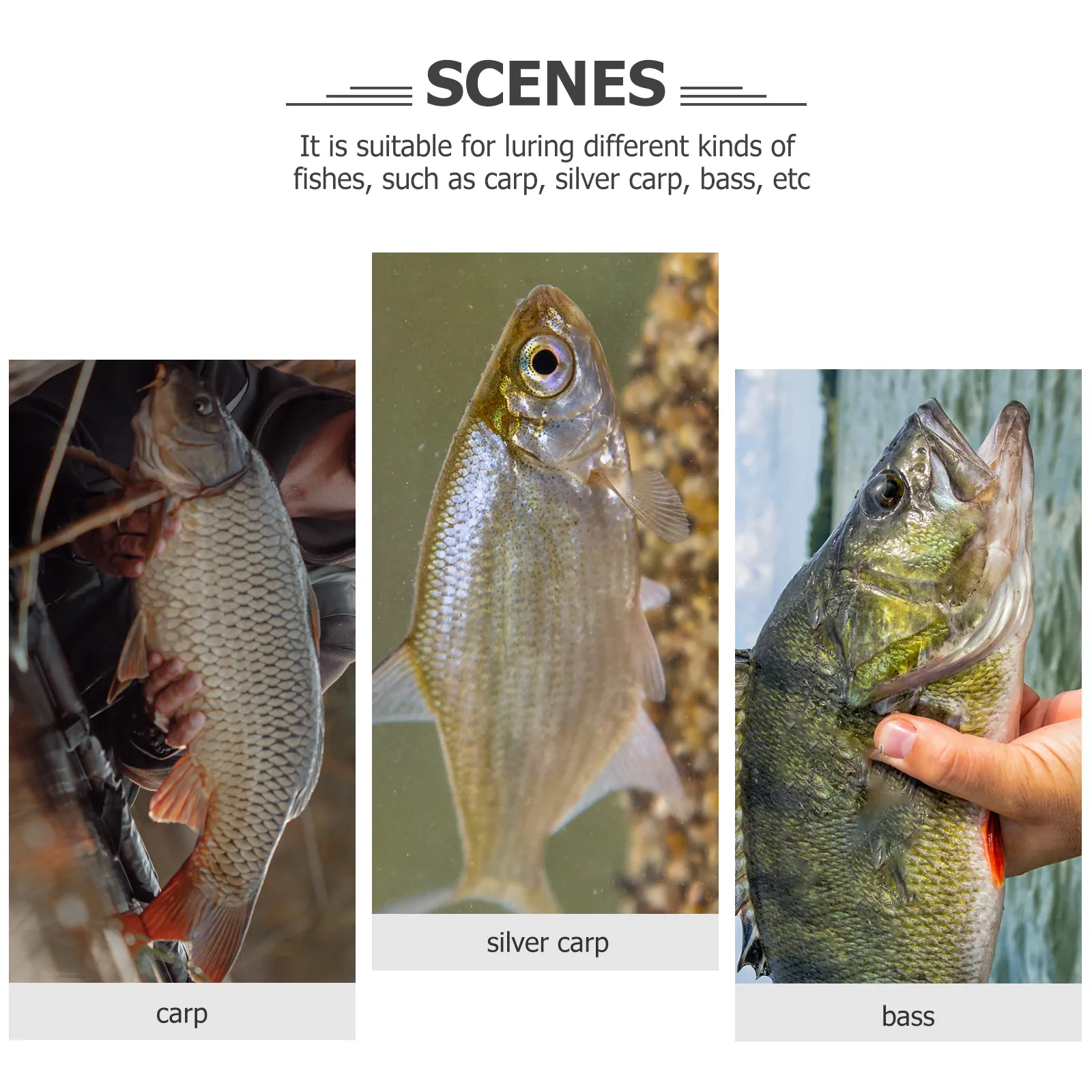 

Large Fish Catching Cast Reusable Eco-Friendly Fishing Mesh Saltwater Bait Tool Portable Fish Collection Hand Throw Net Strong