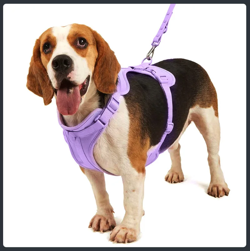 Fashion Adjustable Dog Harness Vest Breathable Candy Color Pet Outdoor Walking Puppy Clothes Dogs Traction Supplies