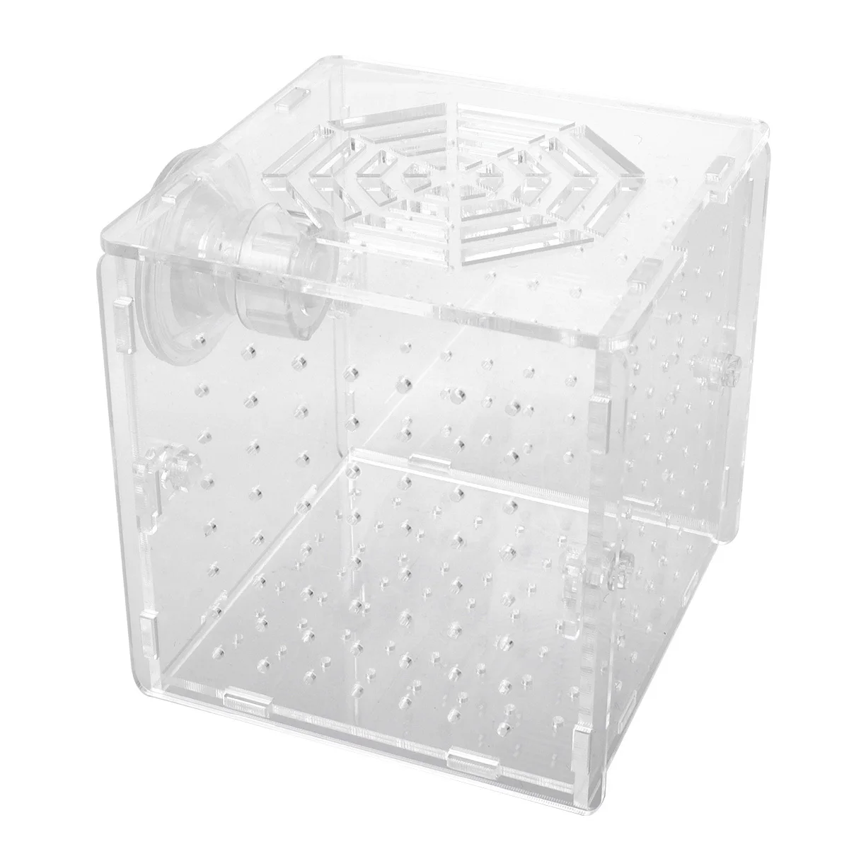 

Breeding Box 10X10X10Cm Transparent Acrylic Aquarium Isolation Tank For Small Fish Shrimp Protection Adjustable Height Suction