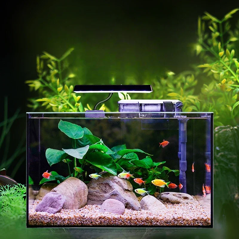 Loop Ecology Fish Tank Desktop Corporation Aquatic Pet Supplies Cobble Decoration Fish Tank Landscaping Aquarium Pour Aquarium