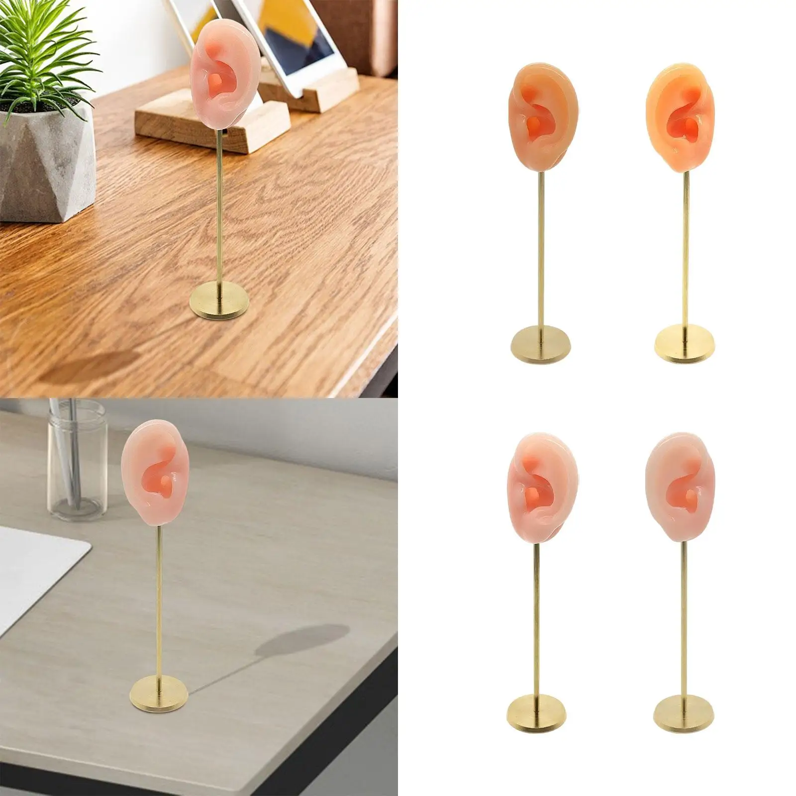 محاكاة سيليكون قوالب الأذن البشرية التصوير عرض الدعائم سماعات الأذن عرض موقف الأذن نموذج مسمار حامل عرض نموذج #1