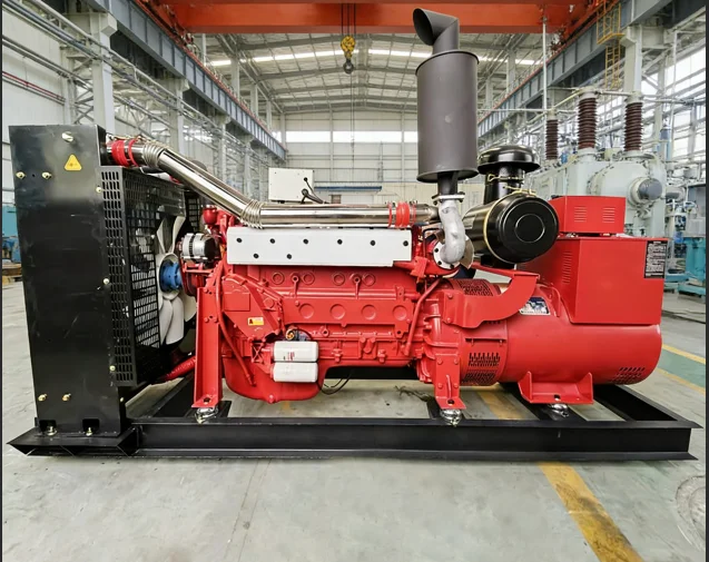 Emergency Generator 20KVA 240V AVR Gas for Rescue Team Mobile Command Center Search Operation Communication Backup Customized