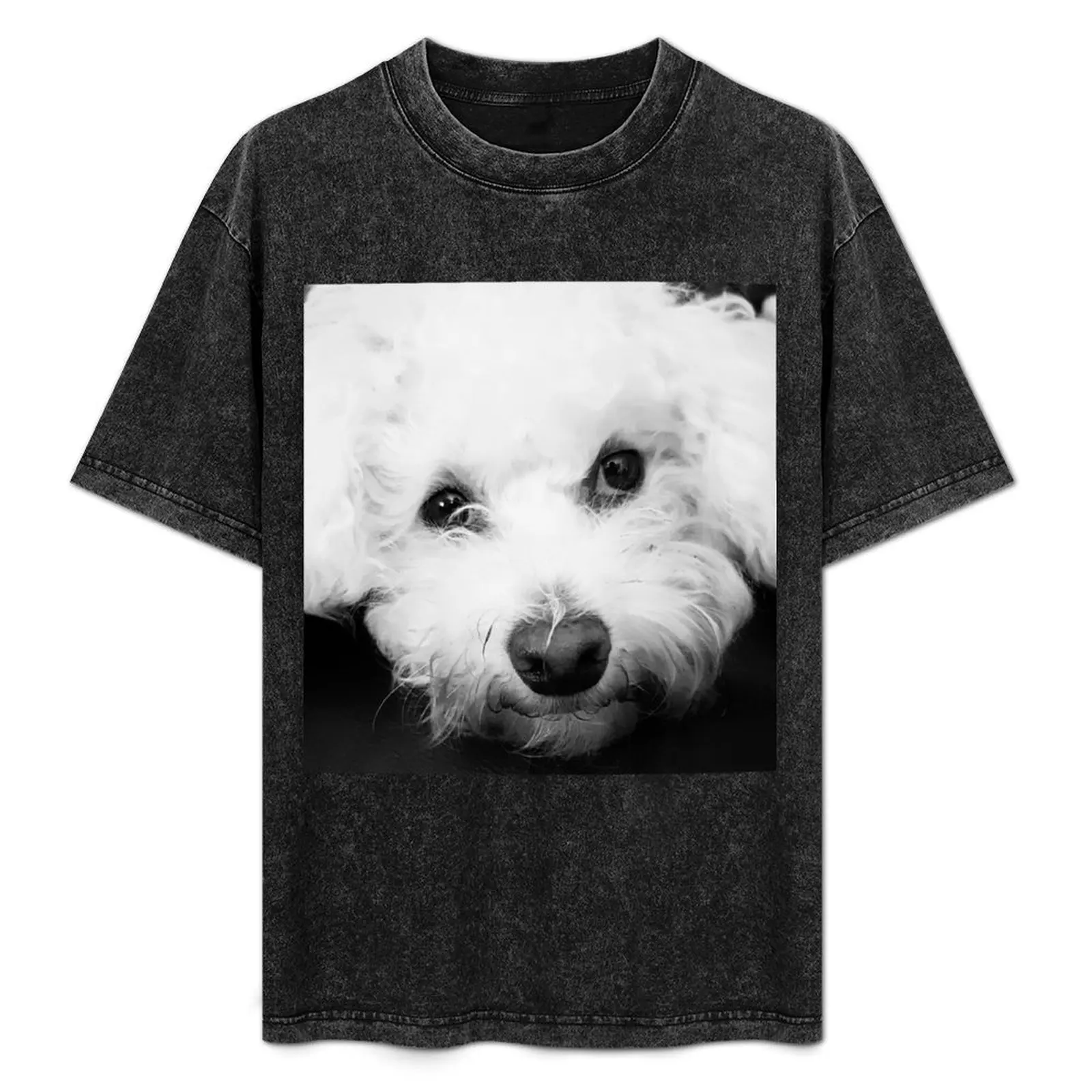 Camiseta Cavachon, camiseta funcional informal de manga corta