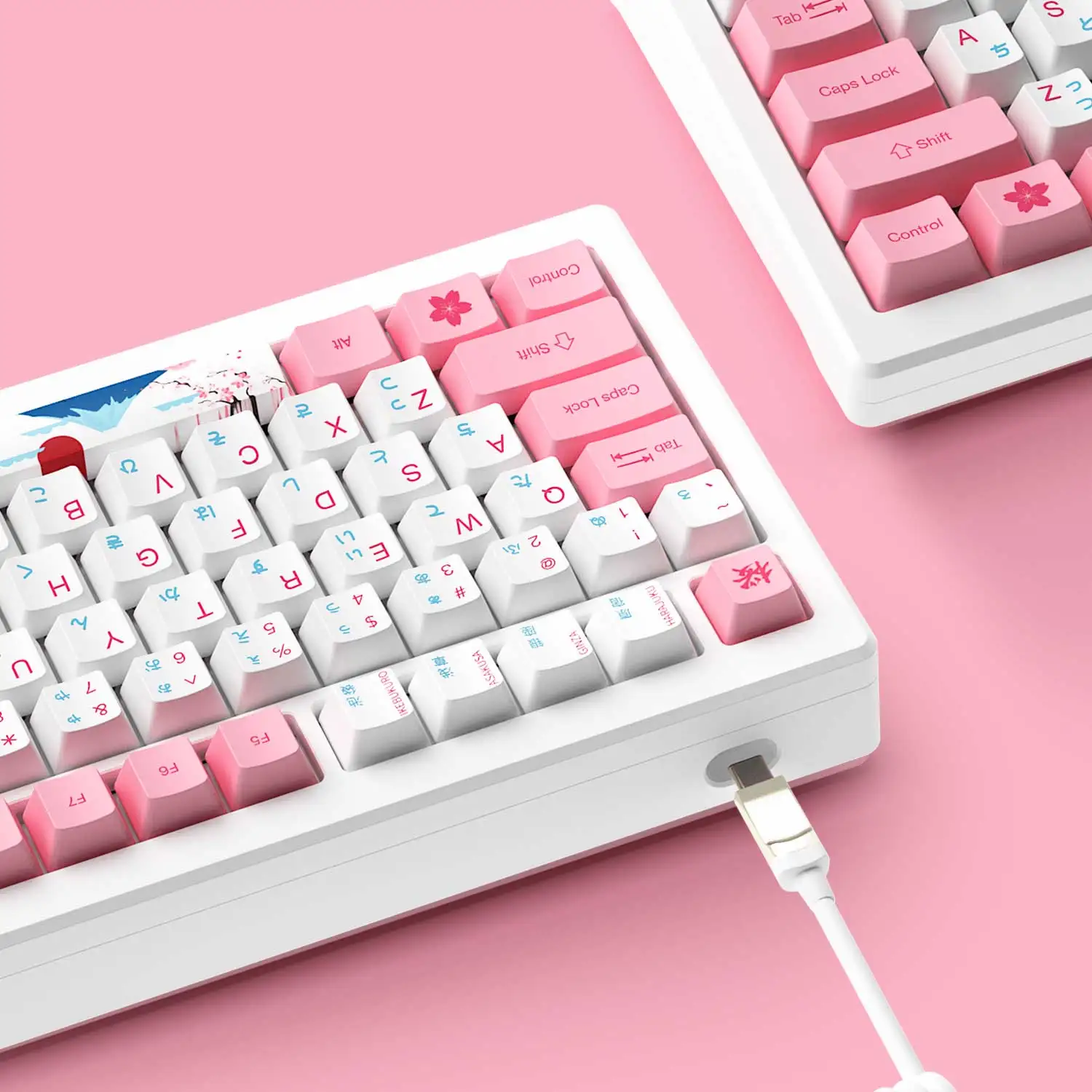 Akko MOD007B HE PC-Gaming-Tastatur mit Magnetschalter, Rapid Trigger, 8K, 75 % RGB, USB Typ C/2,4 G/Bluetooth 5.0, kabellose Tastatur