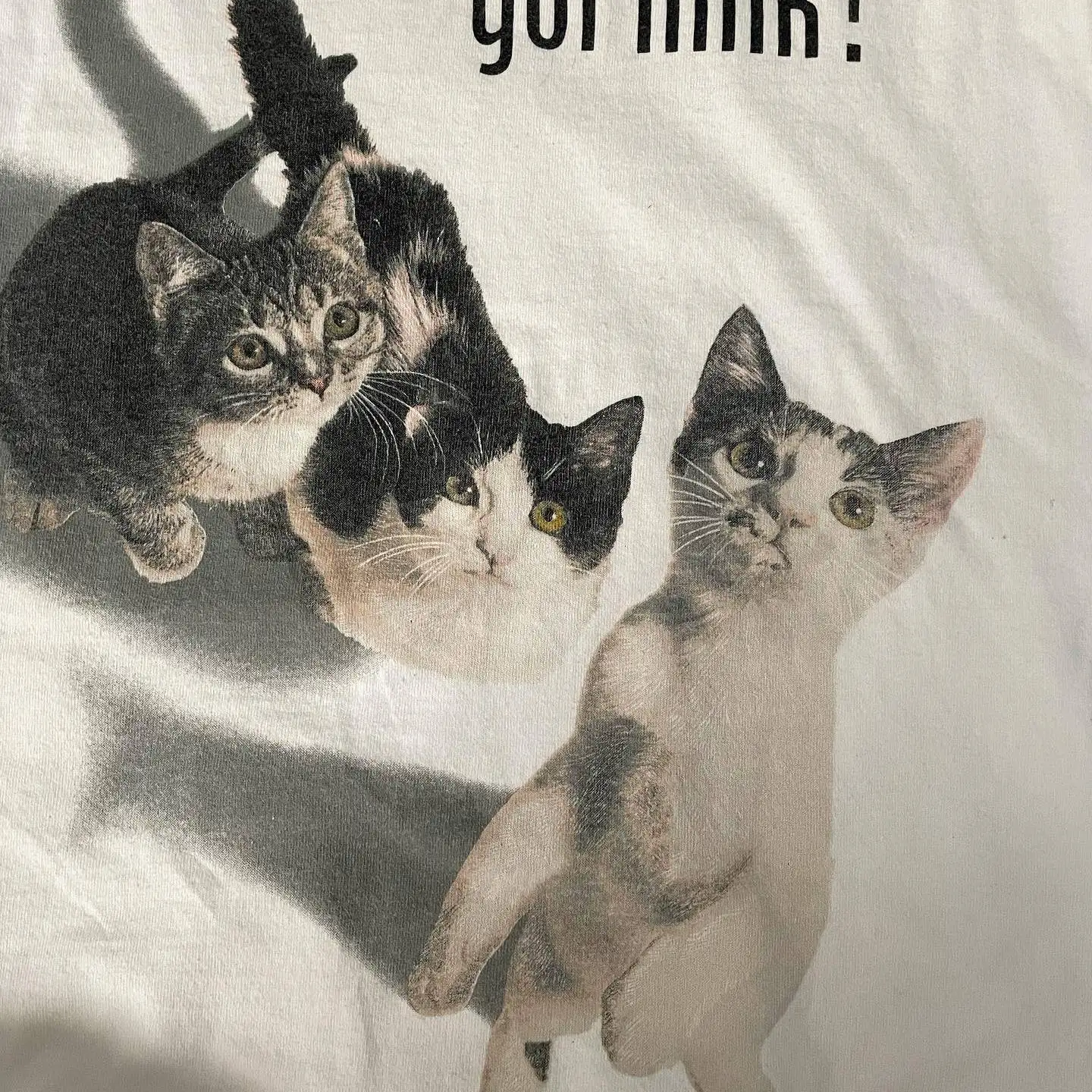 Realistic Style Pet  Short Sleeve T-Shirt Cute Healing Love Pet People Cotton Breathable round Neck Men Women Universal T-...