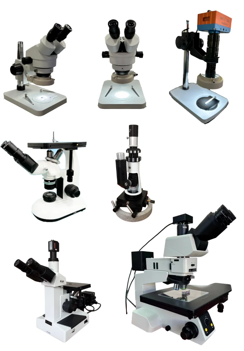 Metallographic Trinocular Microscope