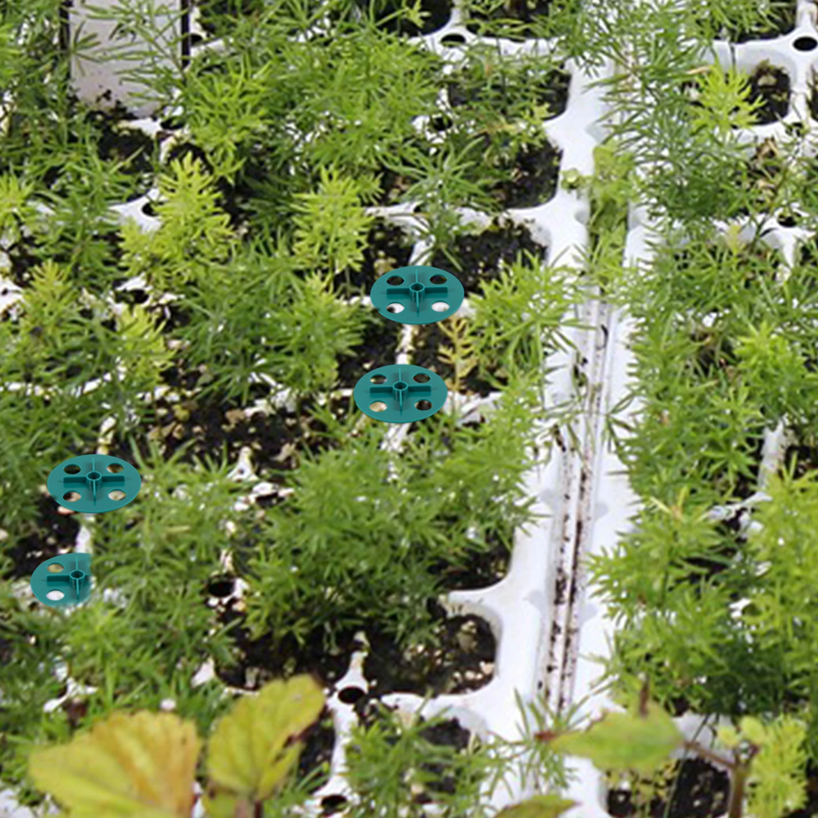 

20 Pcs Breathable Valve for Plant Pots Green Color Pot Ventilation System Nursery Humidity Control Flowerpot Accessories