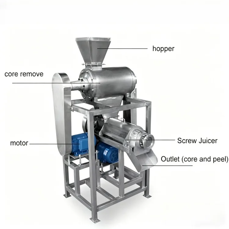 Hot Selling Cold Press Juicer Automatic Juice Making Machine Spiral Fruit Mango Pineapple Orange Lemon Ginger Juice Extractor
