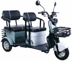 Passenger 48v 600w 60v 800w Adult Electric Tricycle