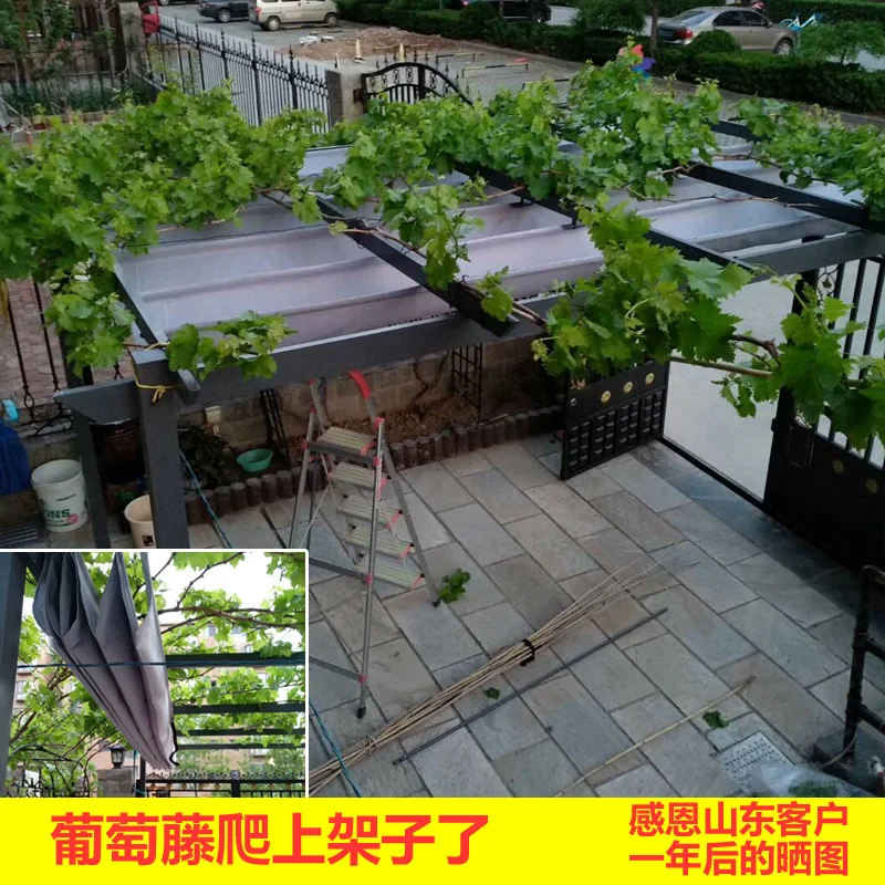 Outdoor awning, gazebo tent, courtyard villa, canopy garden parking shed, home grape rack, aluminum alloy car shed