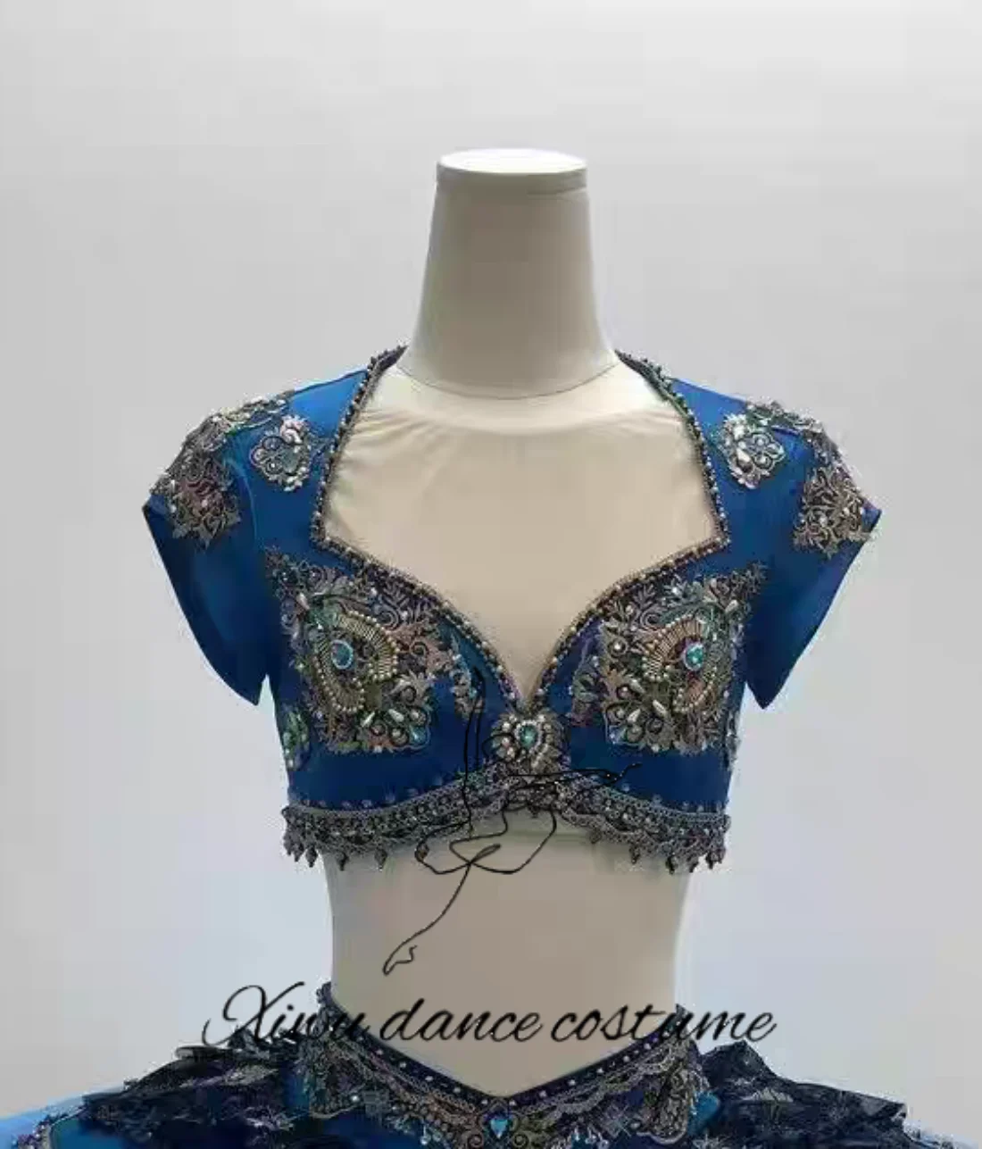 Costume de spectacle de ballet, haut bleu foncé, jupe Tutu bleu clair