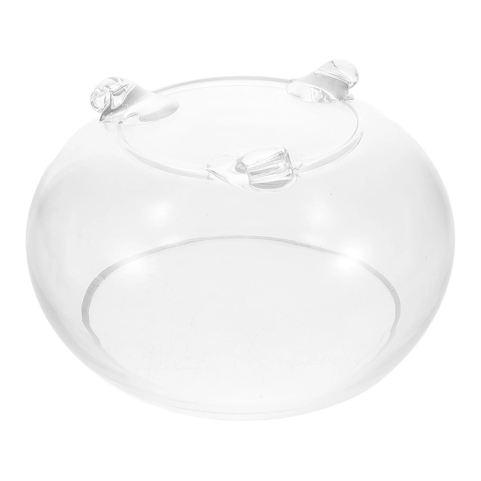 

Round DIY Terrarium Glass Planter Vase Creative Design Versatile Use Safe Material Easy Maintenance Aesthetic Decoration Home
