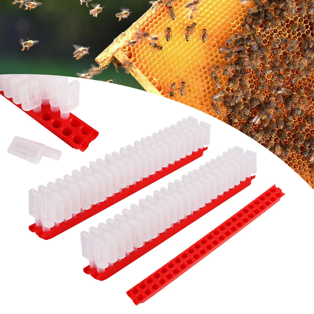 200 Piezas JzBz Barra de Envío para Jaulas de Reina, Base de Sujeción para Jaulas de Reina de 46 Agujeros, Soporte para Envío de Abejas Reina, Herramientas de Apicultura