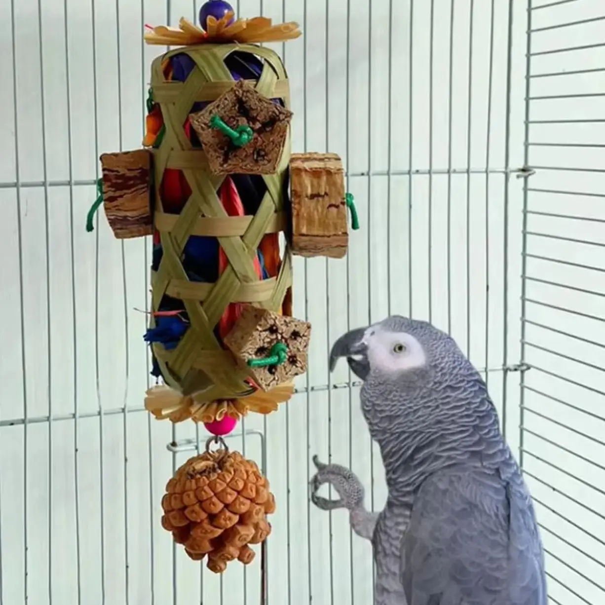 

Parrots Chewing for Bird Cage Fun Foraging Basket Engaging Bird Chew for Cockatiels Lovebirds for Mental Stimulation and Play