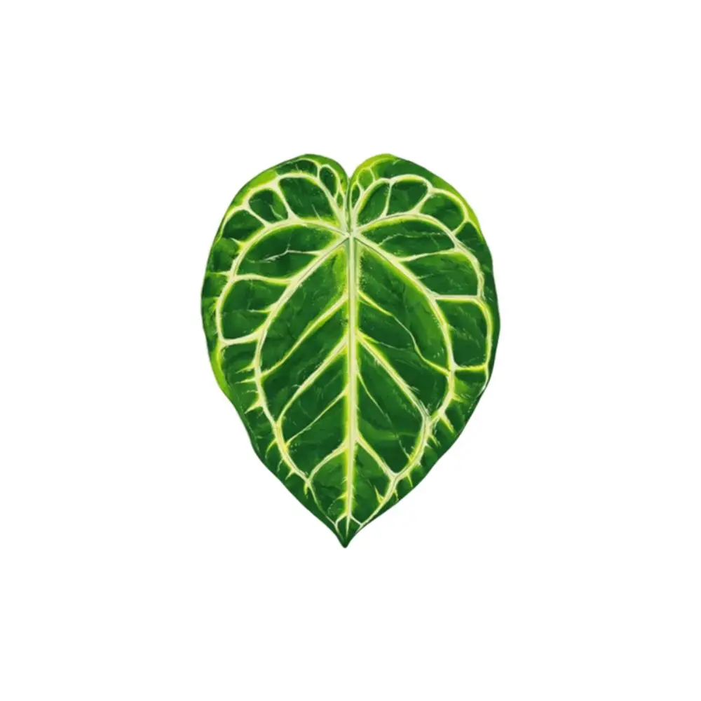 Acrylic Green Leaf Coaster Anti Slip Irregular Shape Plant Leaf Cup Mat Easy to Clean Heat Insulation Cup Pad