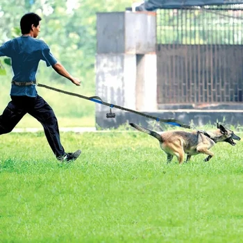 both running elastic for outdoor dogs this reflective enthusiasts, high-visibility belt is pet leash for dura Perfect hands-free 6