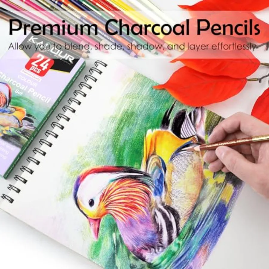 24 Premium Colored Charcoal Pencils Drawing Set, Quality Pastel Chalk Pencils, Skin Tone Colored, for Coloring, Sketching, Draw