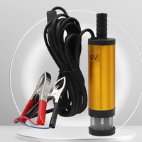 DC 12V Diesel Pump Stainless Steel Mini Water Extractor Oil Extractor Electric DC Fuel Pump for Auto Truck Trailer Mower