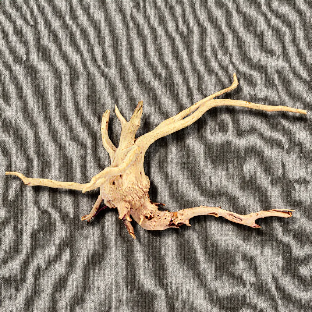 

15-20Cm Natural Freshwater Aquarium Fish Tank Branch Decoration Branch Natural Driftwood For Freshwater Aquarium Driftwood