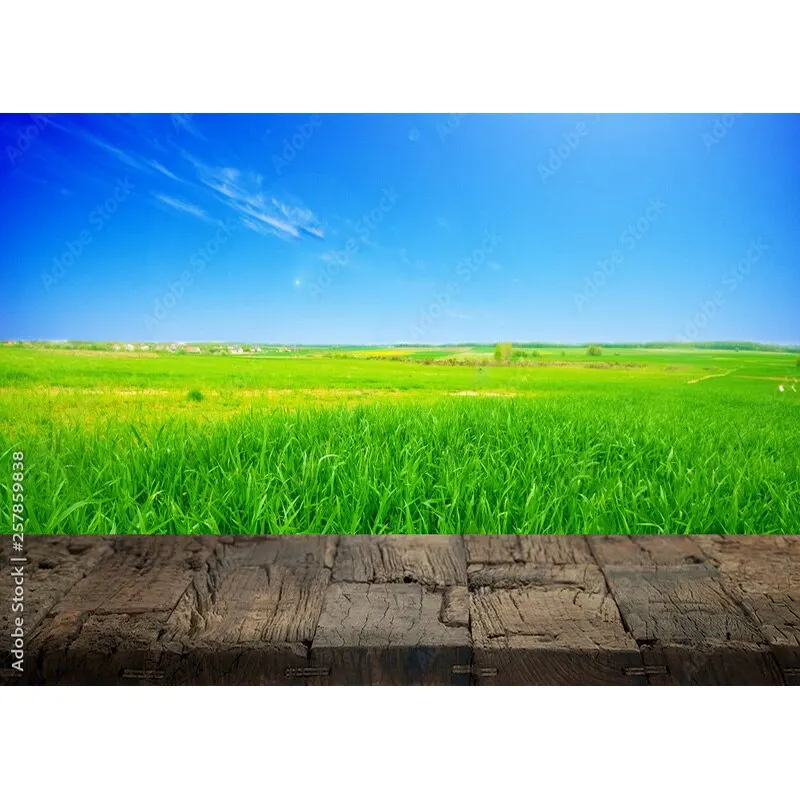 Puntelli di fotografia di paesaggio naturale erba verde e cielo blu con nuvole bianche sfondo fotografico puntelli da Studio 211223 KKLL-04