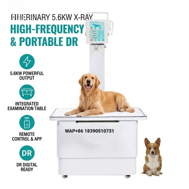 Portable 5.6KW Veterinary X-ray Machine DR Imaging System, Mobile X-ray Machine with Manual and Remote Exposure for Animal Diagn