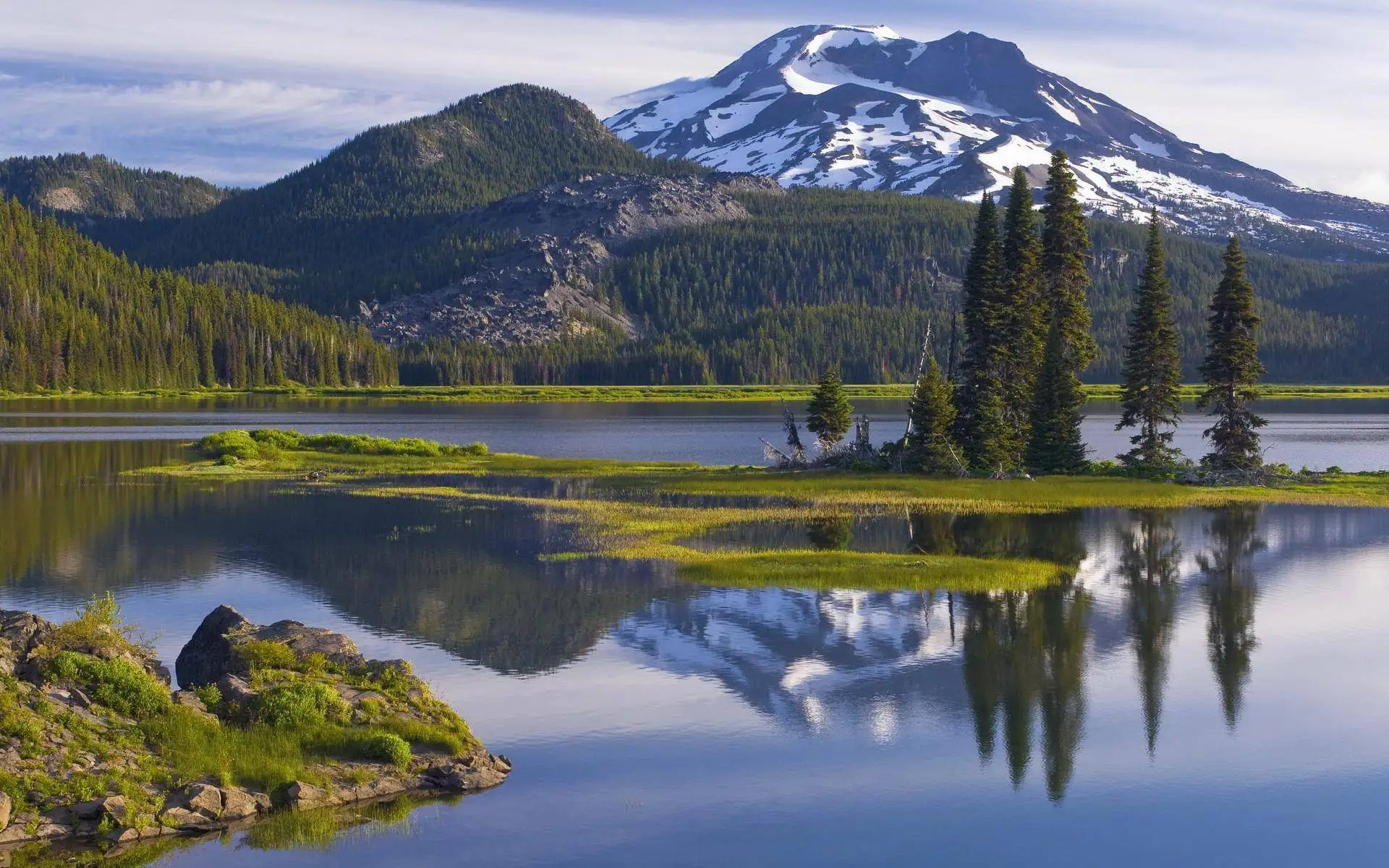 

Floor Standing Veterinary Shadowless Light Deluxe Arm LED500 Operating Light Mobile Medical Shadowless Light for Sale