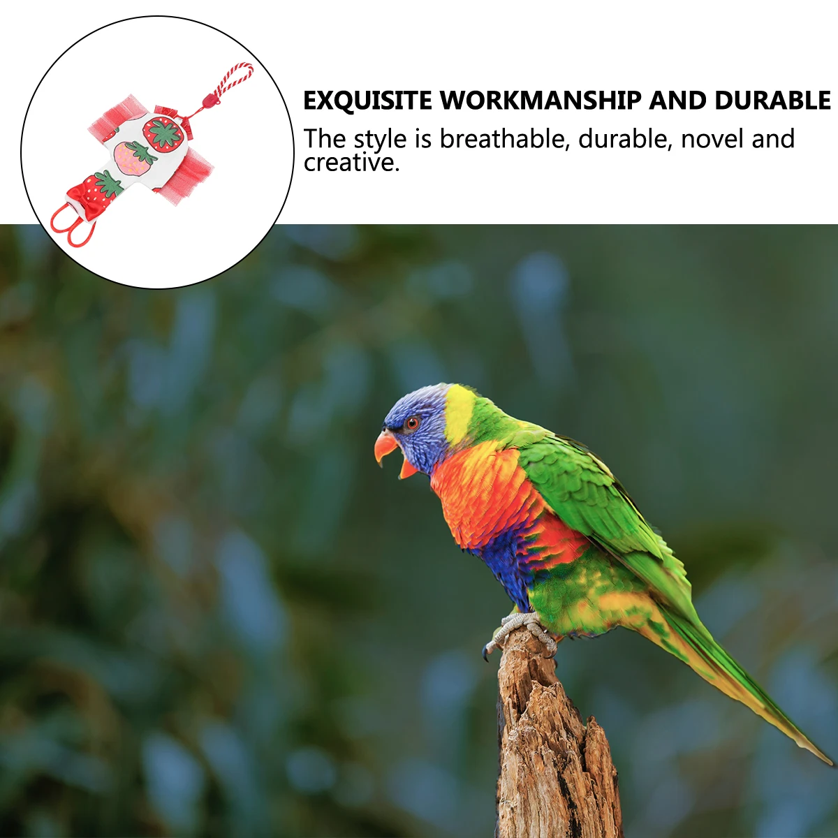 

Parrot Clothes Light Pet Clothing Pattern Accessory Accessory Bird Flight Bird Clothes Suit