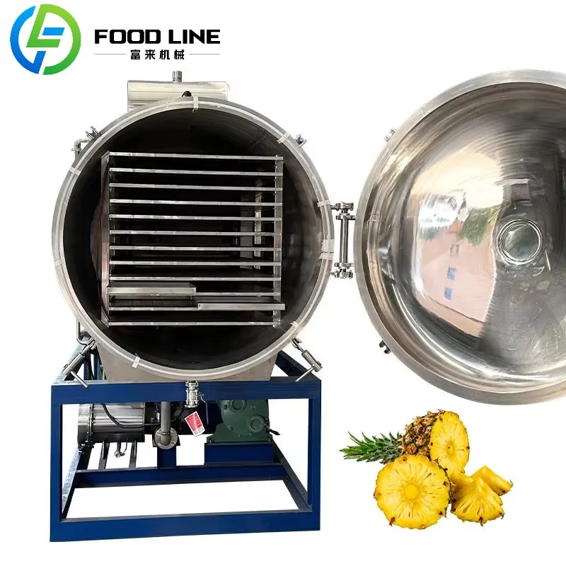 Production in Situ Commercial Industrial Vacuum Freeze Dryer Lyophilizer Machine for Fruit Vegetable Milk