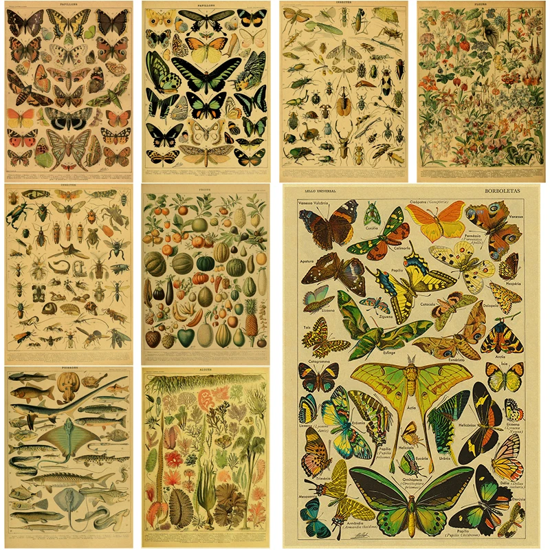 Butterfly Botanical Animal Illustration Posters Kraft Paper Prints Vintage Home Room Bar Cafe Art Wall Decor Aesthetic Painting