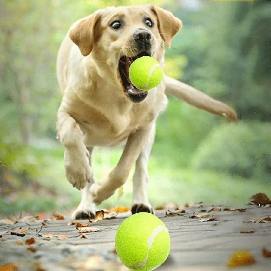 10pcs/Dog toy ball self congratulatory tool pet border collie golden hair Keji anti biting ball training molars tennis