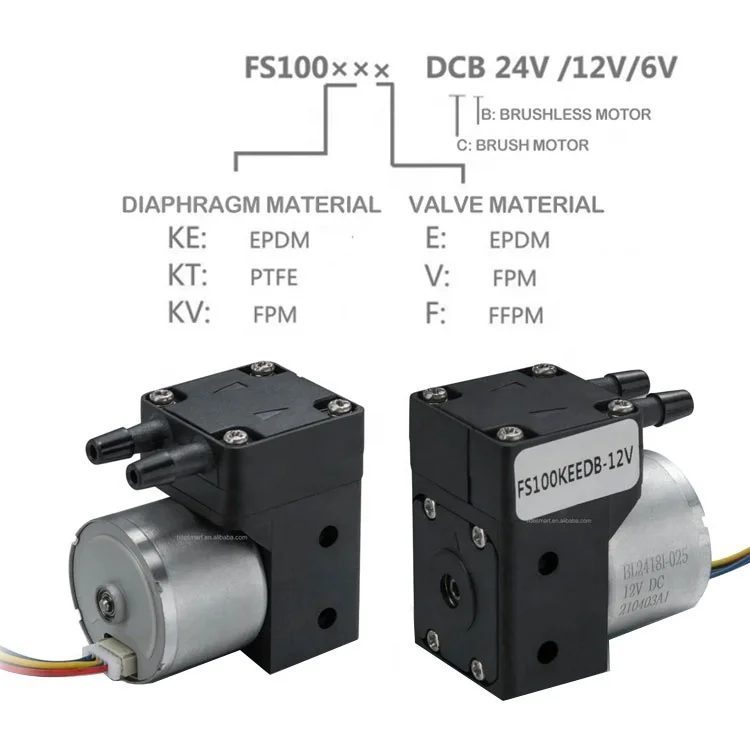 24Vdc Industrial 20-100ml Anti Corrosive PTFE Diaphragm air Pump FKM Valve Electronic Portable Micro Water Pump