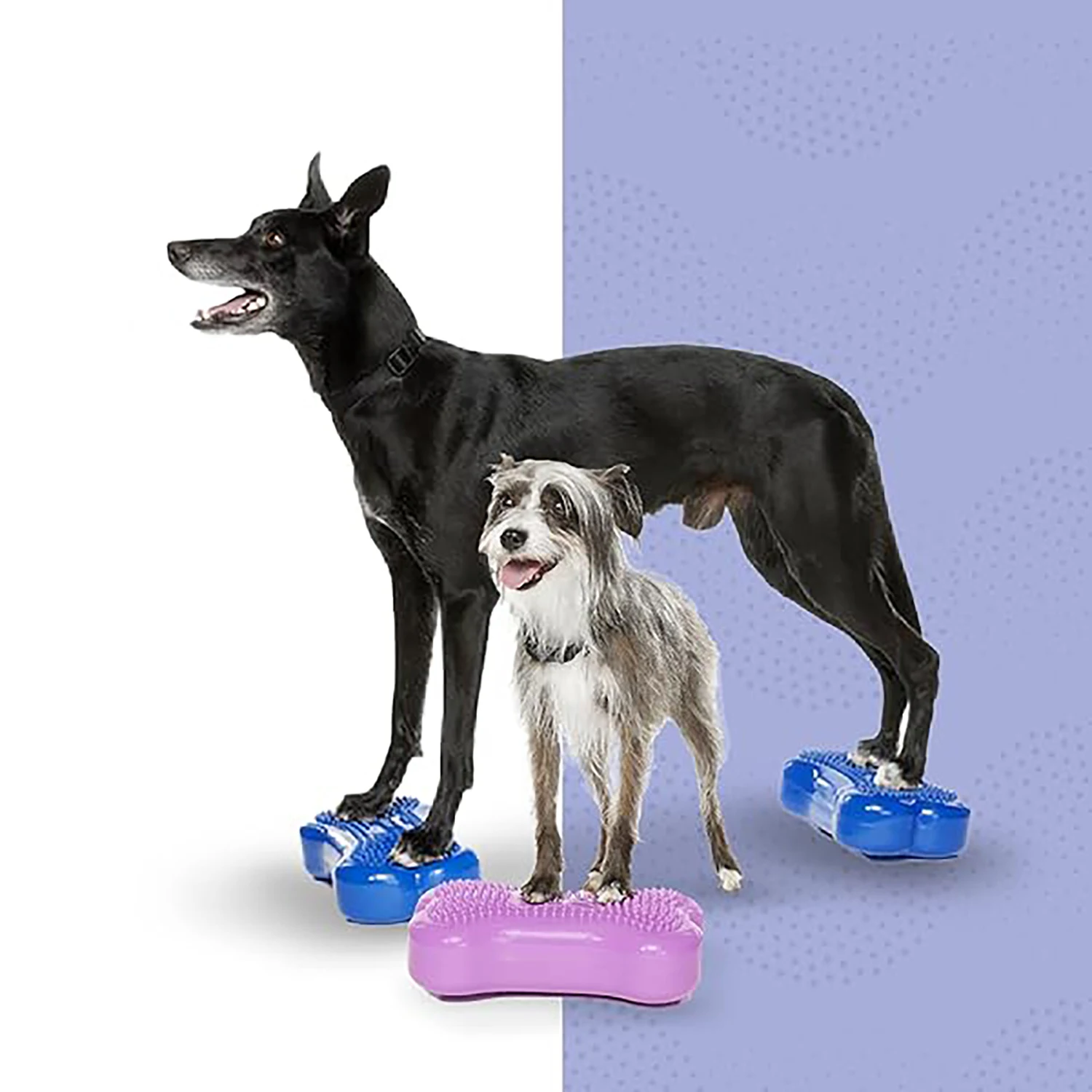 Small Dog Balance Board Post-Operative Recovery Equipment Dog Balance Training Exercise Devices Pet Home Supplies Dog Trainers